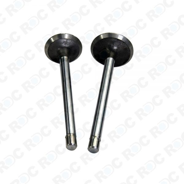 Valve For 2040 OEM NO R52251