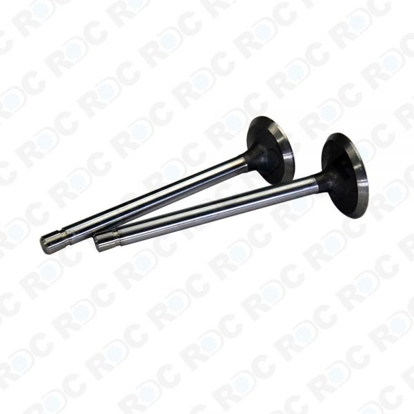 Valve For 2040 OEM NO R52251