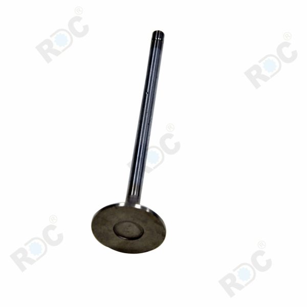Engine Intake Valve Fit For John Deere 6090 OEM Nos: RE520223