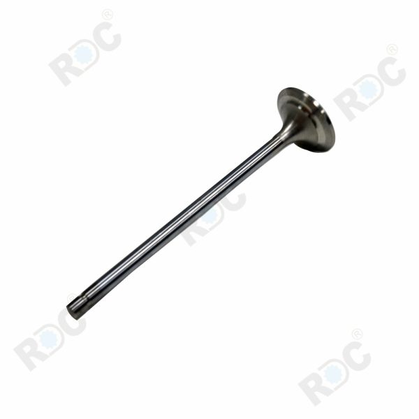 Engine Intake Valve Fit For John Deere 6090 OEM Nos: RE520223