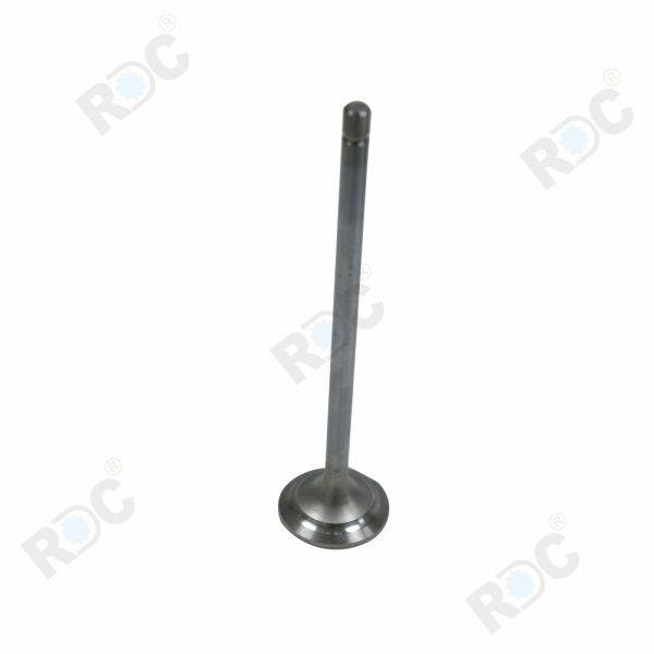 Engine Intake Valve Fit For John Deere 6090 OEM Nos: RE520223